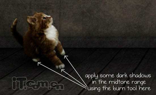 PS合成3D画:从相框当中冲出的鲨鱼