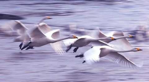 摄影师必看:12条最经典摄影技巧(图文介绍)