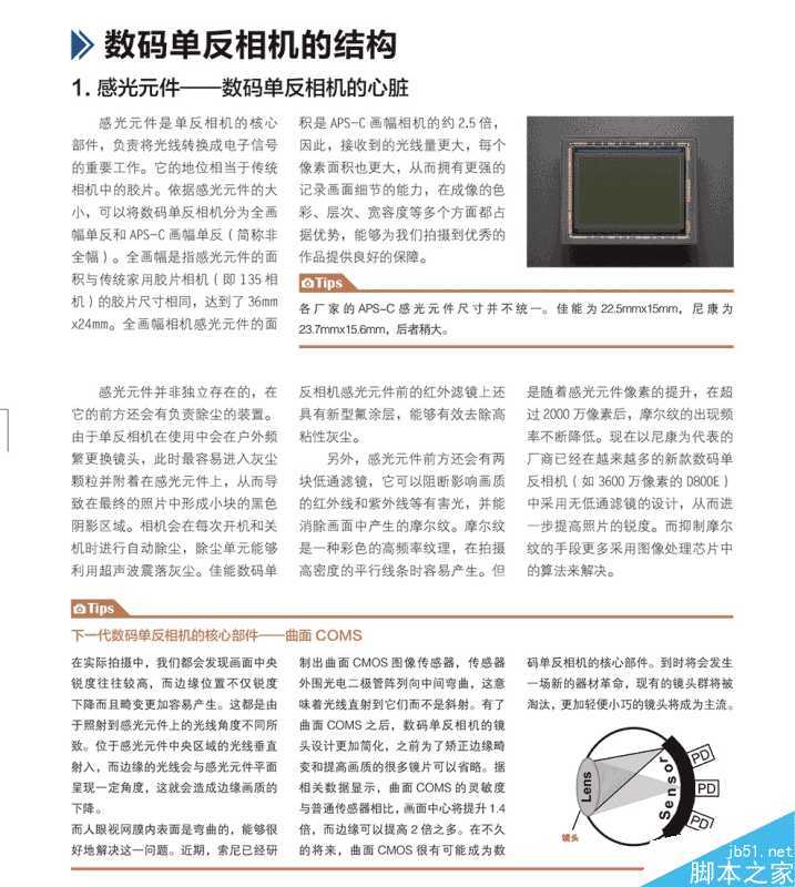 初学者如何选相机?买哪款相机合适自己?
