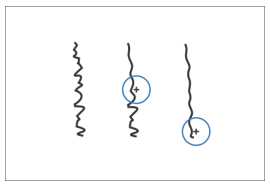 入门:CDR形状工具组的运用详解