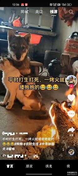 抖音16.4.15,无购物模块